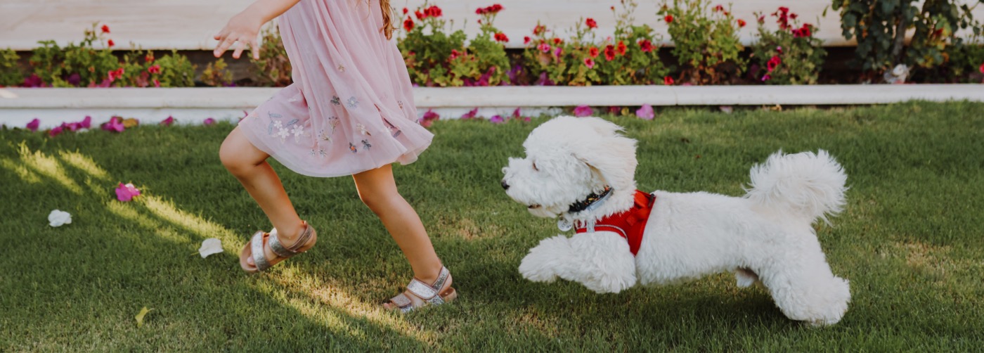 DogWatch of Southern Connecticut, Fairfield, Connecticut | Outdoor Hidden Dog Fences Slider Image